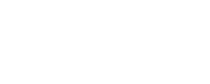 Bist Elektrik