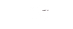 Vidy