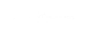 Vitamin Takviyeleri
